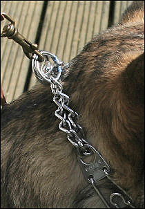 Best pinch collar discount for german shepherd
